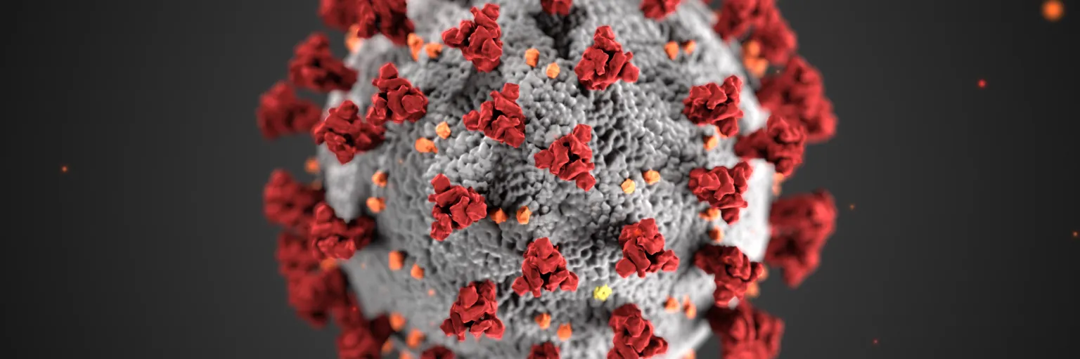CovidQ, an app to monitor Coronavirus infections.