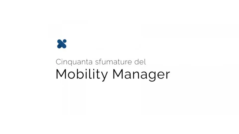 Fifty shades of the Mobility Manager